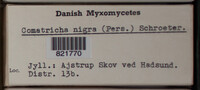 Image Associated With the Occurence